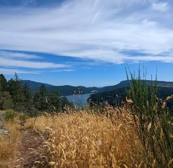 Aamiaismajoitus (B&B) Maple Rise Guesthouse