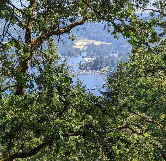 تختخواب و صبحانه Maple Rise Guesthouse