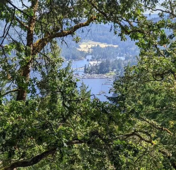 Aamiaismajoitus (B&B) Maple Rise Guesthouse