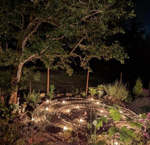 تختخواب و صبحانه Maple Rise Guesthouse