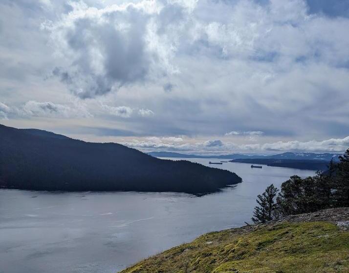 تختخواب و صبحانه Maple Rise Guesthouse