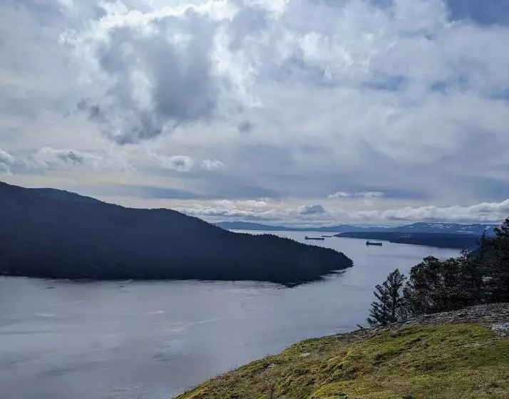 Aamiaismajoitus (B&B) Maple Rise Guesthouse