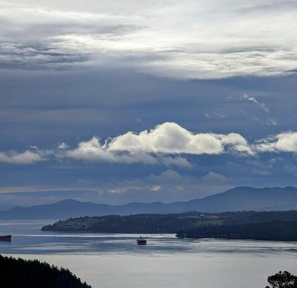 تختخواب و صبحانه Maple Rise Guesthouse