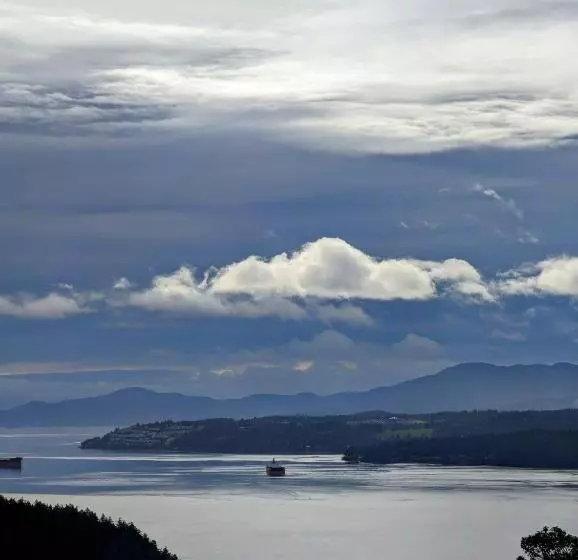 Aamiaismajoitus (B&B) Maple Rise Guesthouse