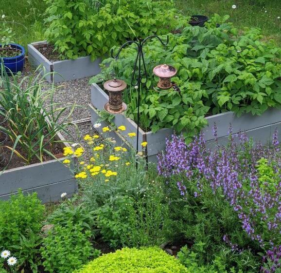 تختخواب و صبحانه Maple Rise Guesthouse