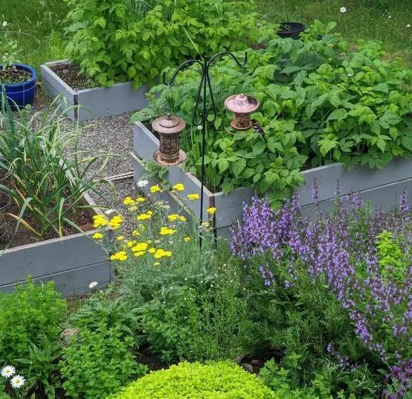 Aamiaismajoitus (B&B) Maple Rise Guesthouse