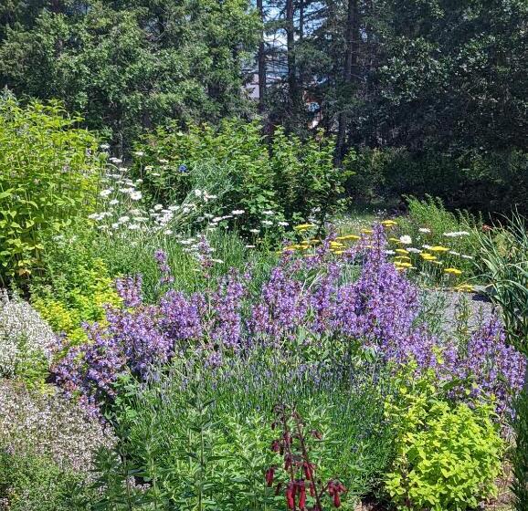 تختخواب و صبحانه Maple Rise Guesthouse