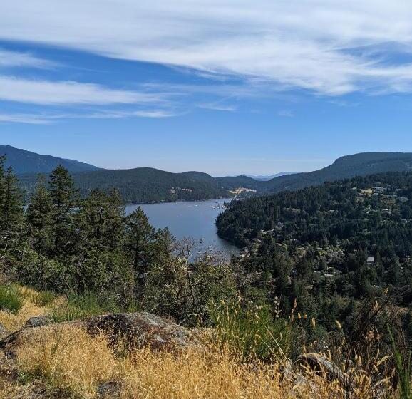 تختخواب و صبحانه Maple Rise Guesthouse