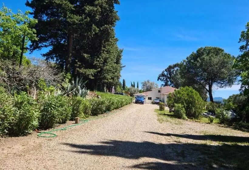 ベッドアンドブレックファースト Mas Orféo