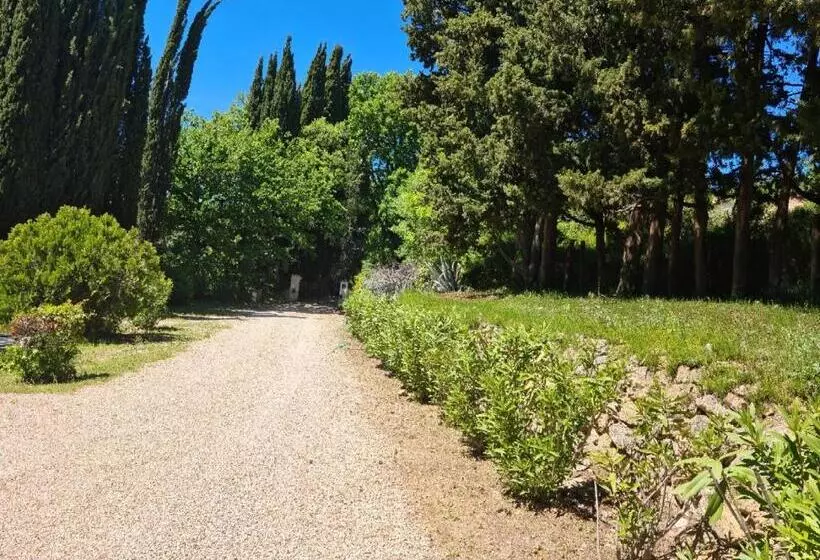 ベッドアンドブレックファースト Mas Orféo