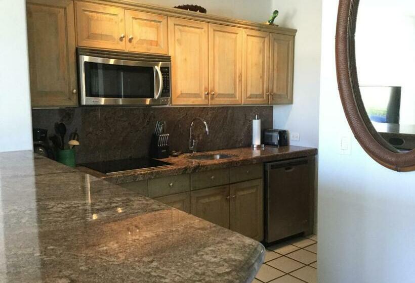 Ocean View Cabo Condo Create Memories!!