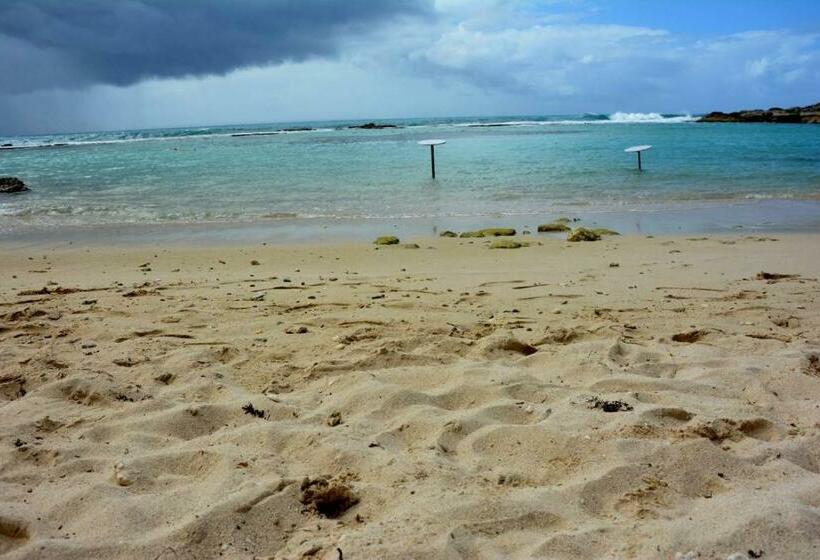 Studio Manganao Saint François Piscine & Plage