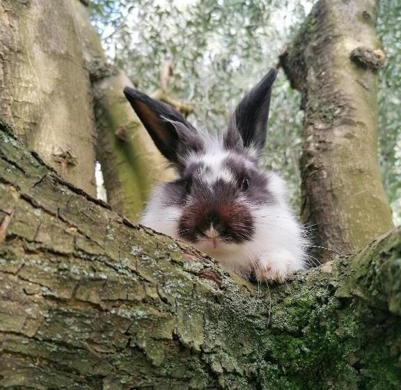 B&b Solstizio D Estate