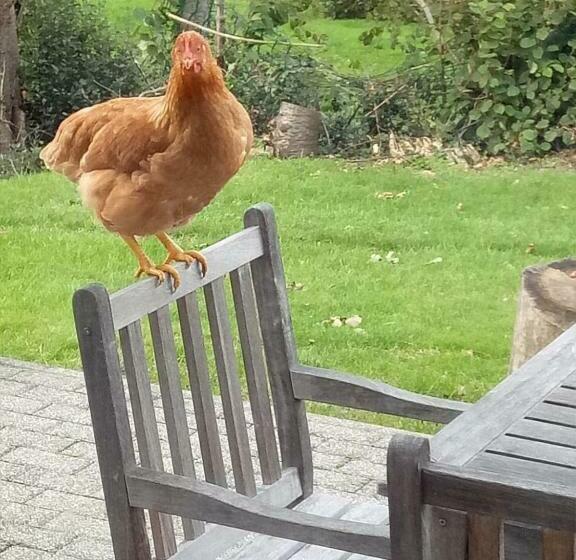 צימר Aux Capucines