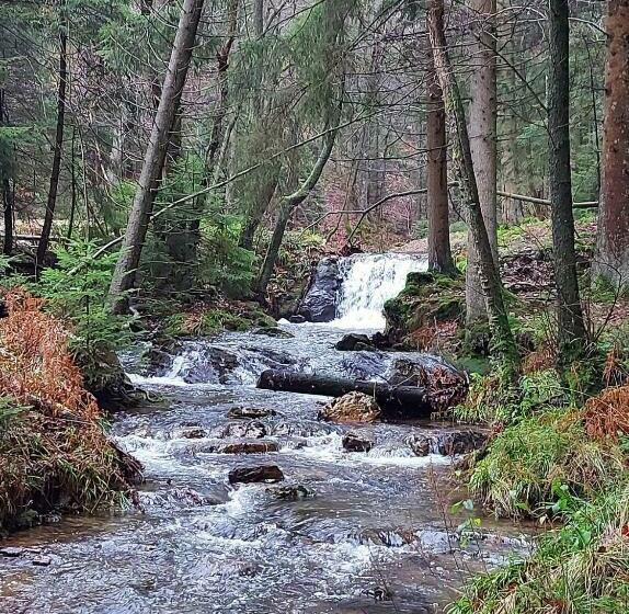 צימר Aux Capucines