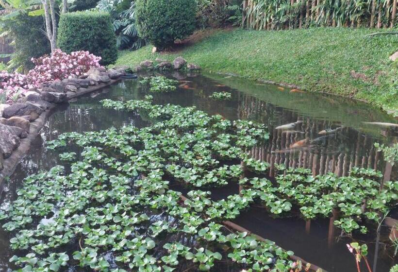 Bed and Breakfast Hospedaria Aikó