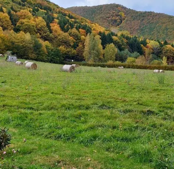 Pensiunea Natura Sadu