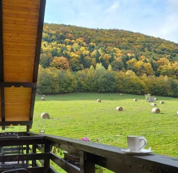 Pensiunea Natura Sadu