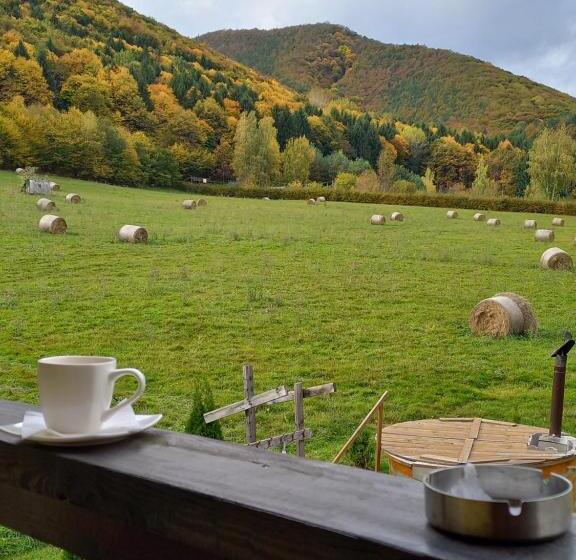 Pensiunea Natura Sadu