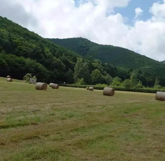 Pensiunea Natura Sadu