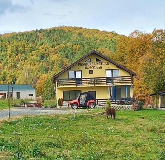 Pensiunea Natura Sadu