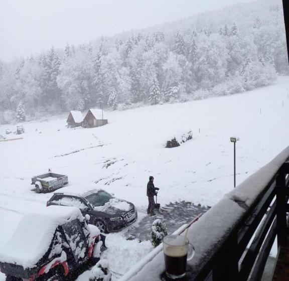 Pensiunea Natura Sadu