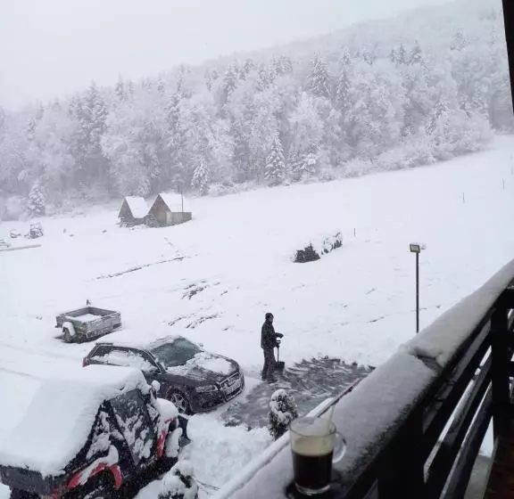 Pensiunea Natura Sadu