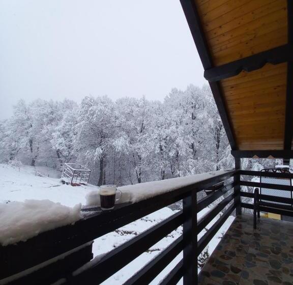 Pensiunea Natura Sadu