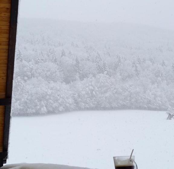 Pensiunea Natura Sadu