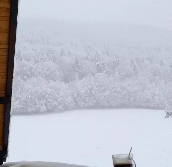 Pensiunea Natura Sadu