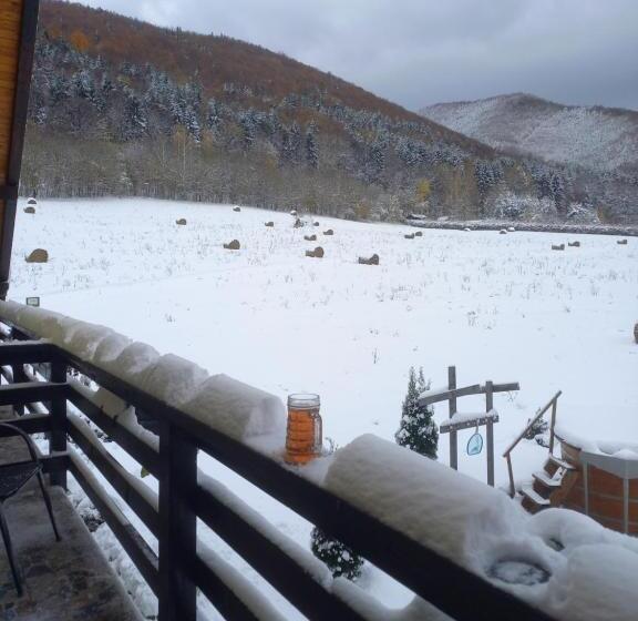 Pensiunea Natura Sadu