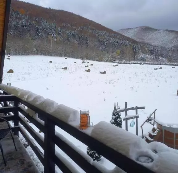 Pensiunea Natura Sadu