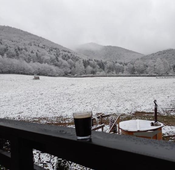 Pensiunea Natura Sadu