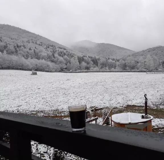 Pensiunea Natura Sadu