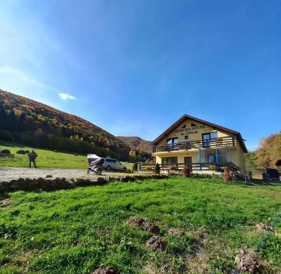 Pensiunea Natura Sadu