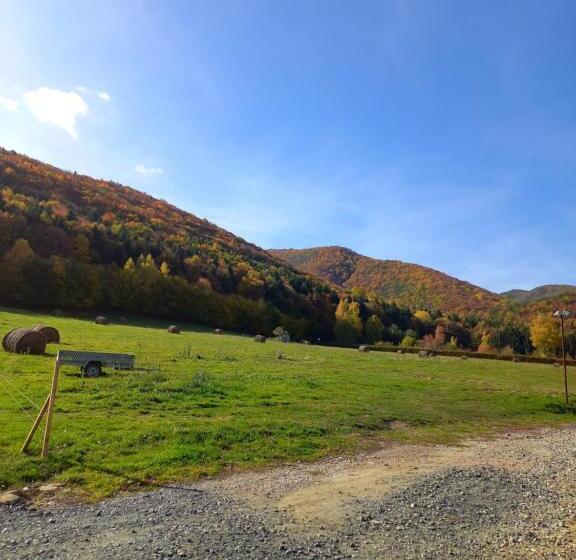 Pensiunea Natura Sadu