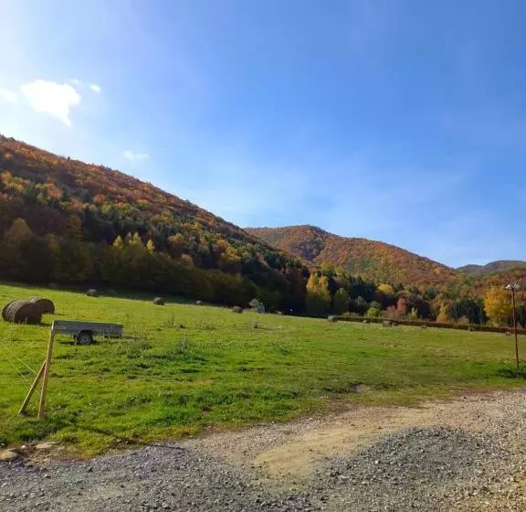 Pensiunea Natura Sadu