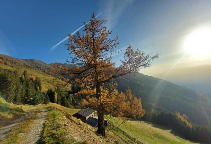 Seven Reasons / Panorama View