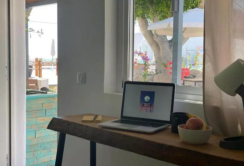 ユースホステル The Tree House Tenerife