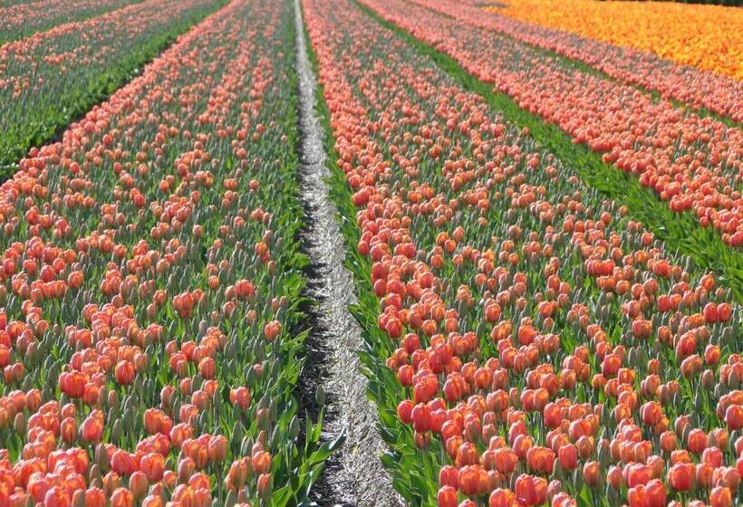 住宿加早餐 Millsight