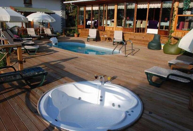 בית מלון כפרי Treetops Park