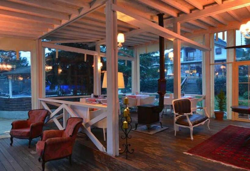 בית מלון כפרי Treetops Park