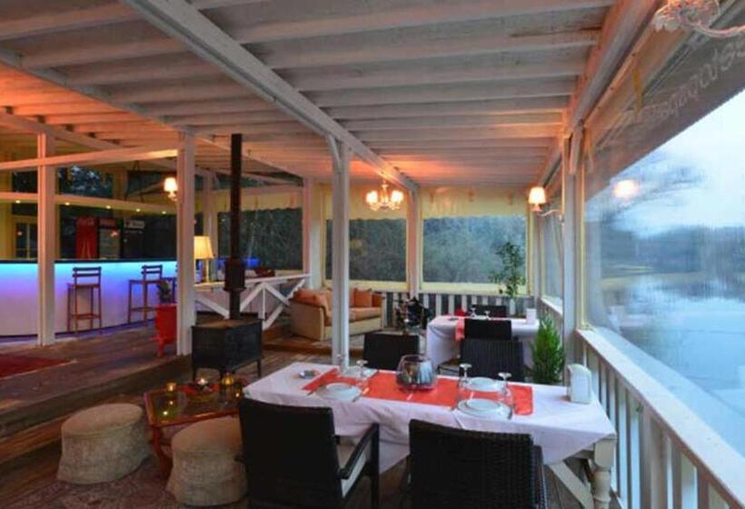 בית מלון כפרי Treetops Park