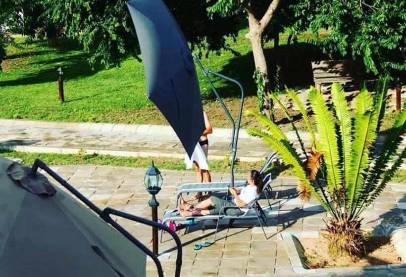 בית מלון כפרי Asante Mountain Lodge