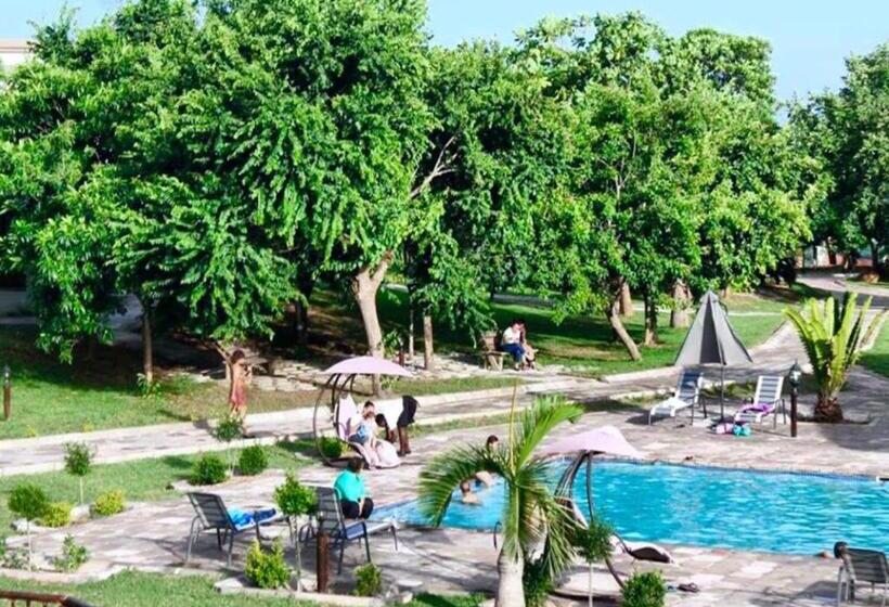 בית מלון כפרי Asante Mountain Lodge