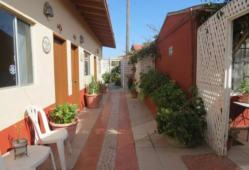 Hotelli Malarrimo By Rotamundos