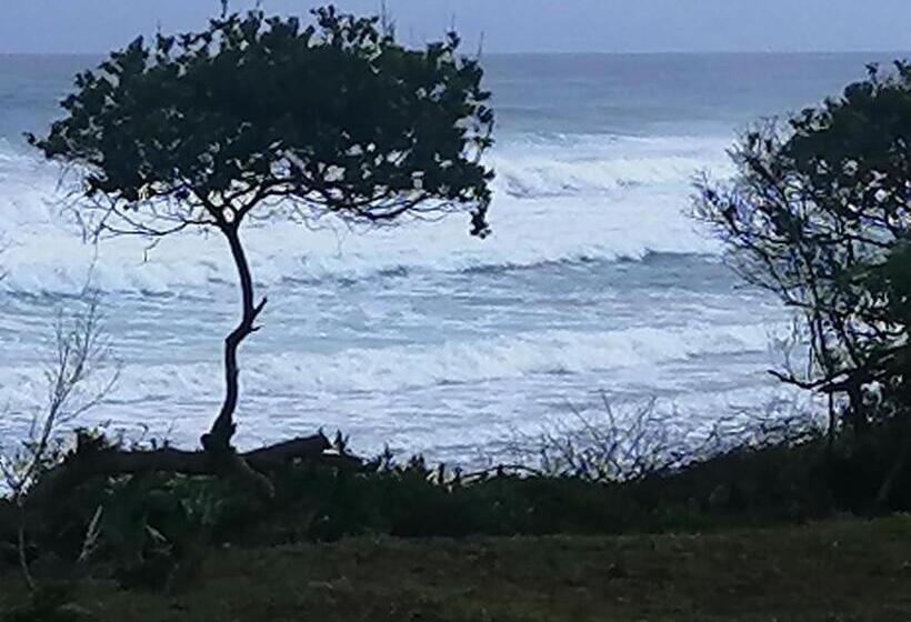 פנסיון Hlophe S Place