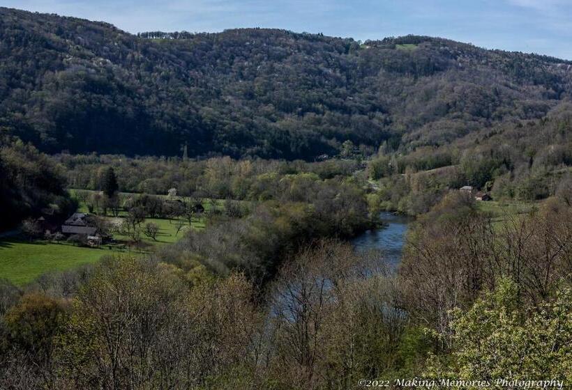 Carpe Diem Bed And Breakfast