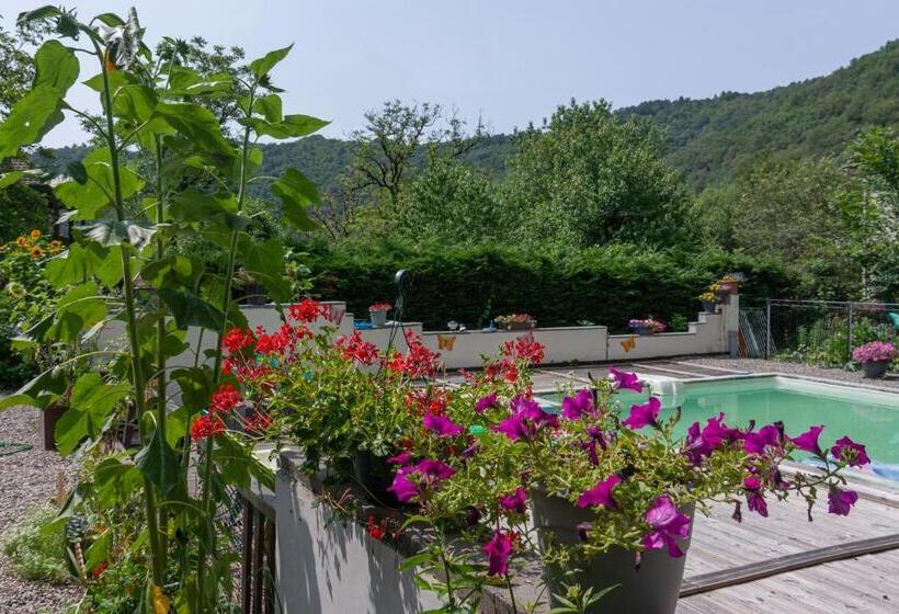 Carpe Diem Bed And Breakfast