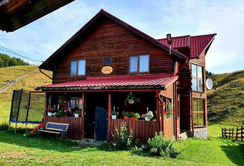 膳宿费 Raiul Carpatin